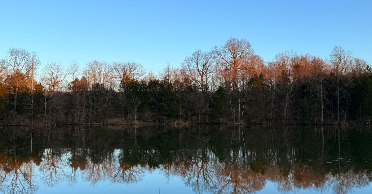Tranquil winter scene at a lake in Louisville, Kentucky with clear reflections of bare trees.